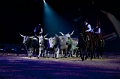 Les Butteri et la Fora de la Maremma